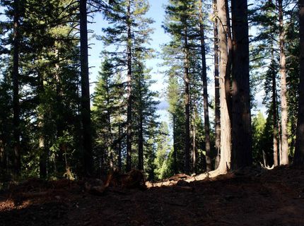 7398 Highway 147, Lake Almanor, CA 96137 Photo