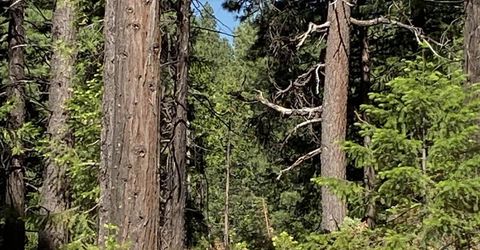 7398 Highway 147, Lake Almanor, CA 96137 Photo