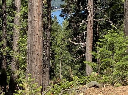 7398 Highway 147, Lake Almanor, CA 96137 Photo