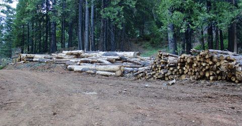 7398 Highway 147, Lake Almanor, CA 96137 Photo