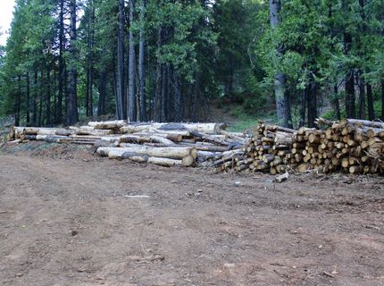 7398 Highway 147, Lake Almanor, CA 96137 Photo