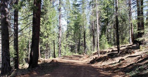 7398 Highway 147, Lake Almanor, CA 96137 Photo