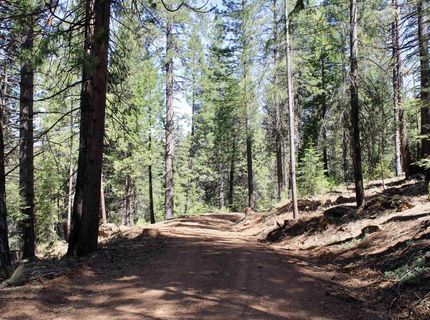 7398 Highway 147, Lake Almanor, CA 96137 Photo