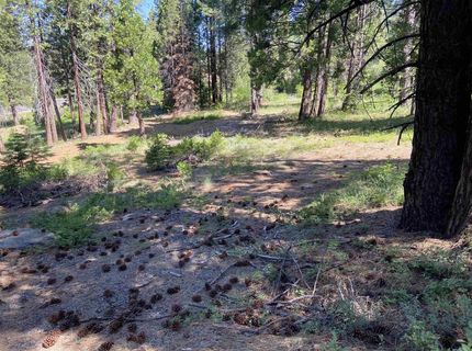 7398 Highway 147, Lake Almanor, CA 96137 Photo