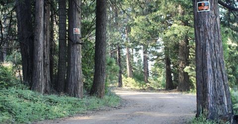 7398 Highway 147, Lake Almanor, CA 96137 Photo