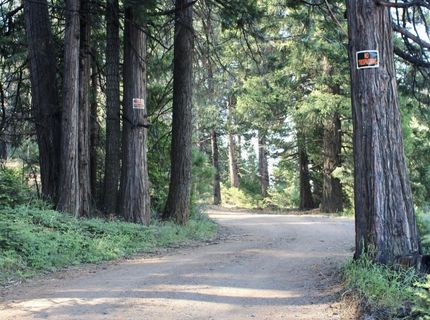 7398 Highway 147, Lake Almanor, CA 96137 Photo