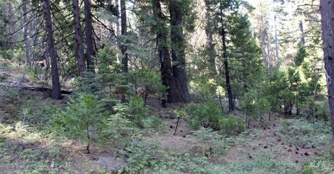 7398 Highway 147, Lake Almanor, CA 96137 Photo