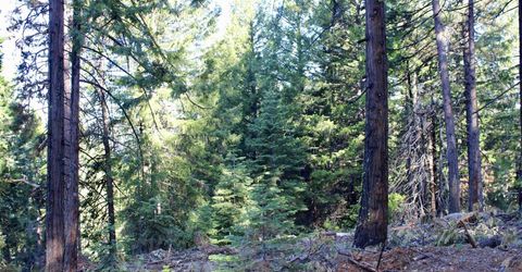 7398 Highway 147, Lake Almanor, CA 96137 Photo