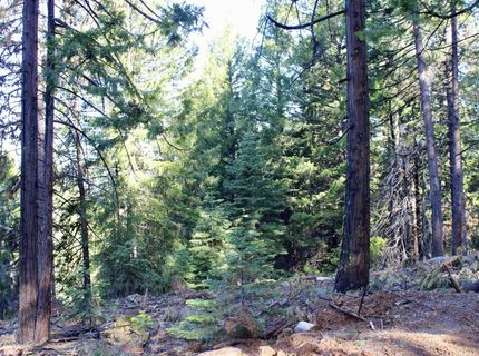 7398 Highway 147, Lake Almanor, CA 96137 Photo