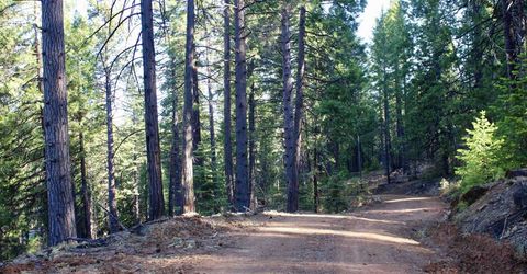 7398 Highway 147, Lake Almanor, CA 96137 Photo