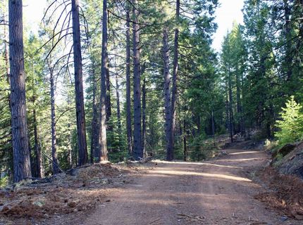 7398 Highway 147, Lake Almanor, CA 96137 Photo