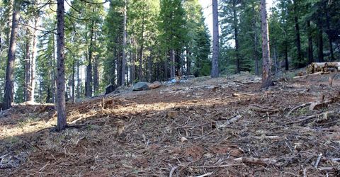 7398 Highway 147, Lake Almanor, CA 96137 Photo