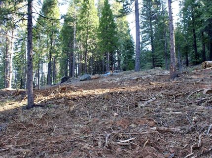 7398 Highway 147, Lake Almanor, CA 96137 Photo