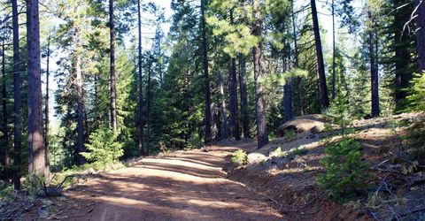 7398 Highway 147, Lake Almanor, CA 96137 Photo