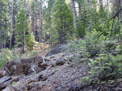 7398 Highway 147, Lake Almanor, CA 96137 Photo