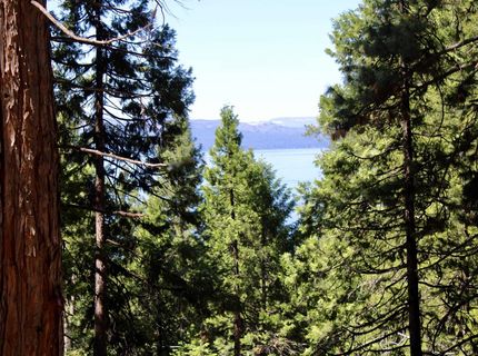 7398 Highway 147, Lake Almanor, CA 96137 Photo