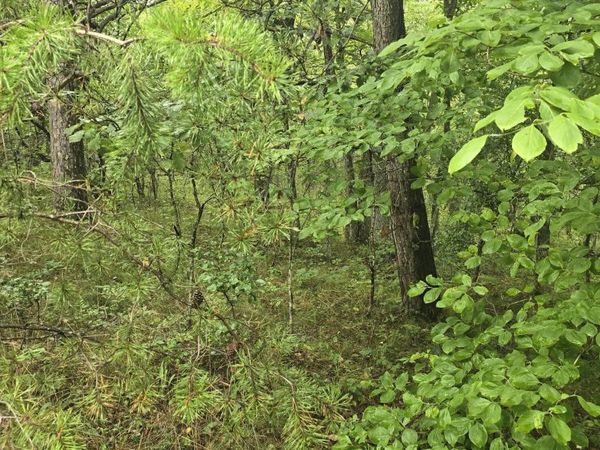 423 Saint George Drive, Crossville, TN 38558