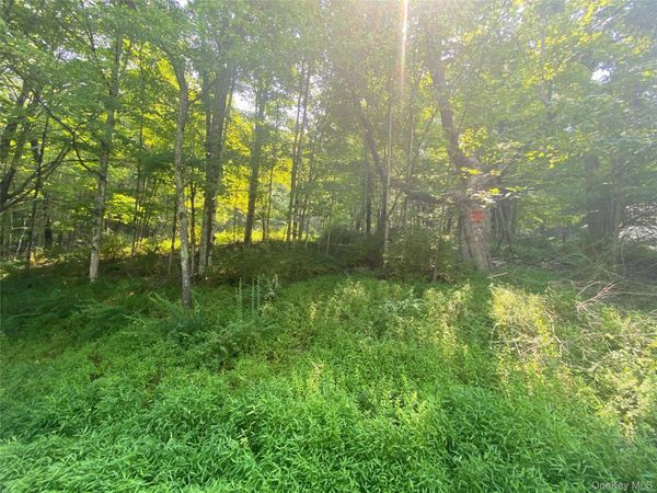 South Road, Wurtsboro, NY 12790