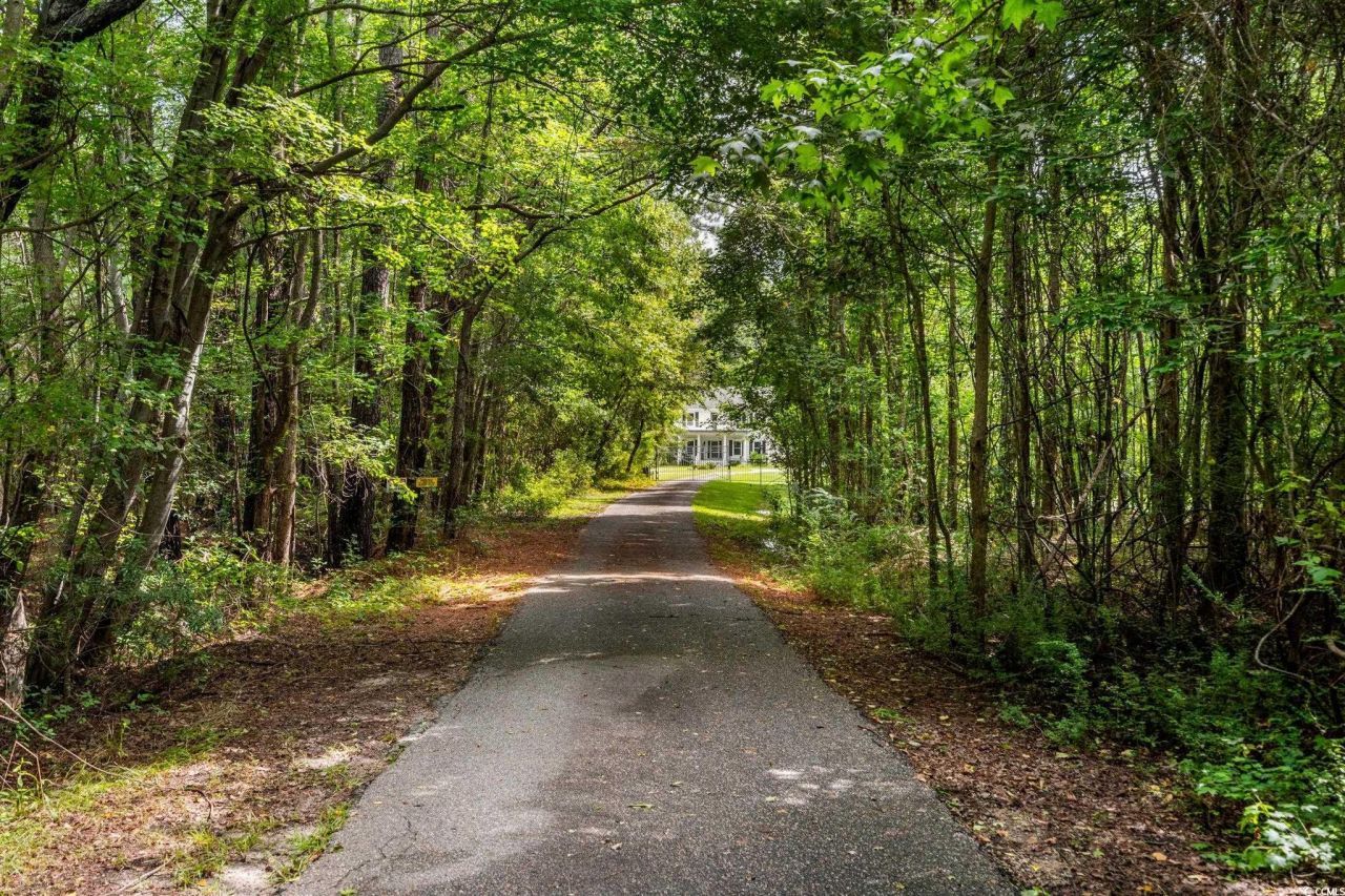 1300 Howard Ln. Photo 8