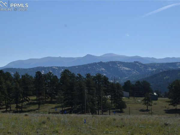 431 High Chateau Road, Florissant, CO 80816