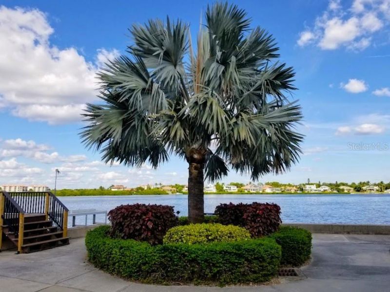 5855 Midnight Pass Road, Unit 314, Sarasota, FL 34242 Photo