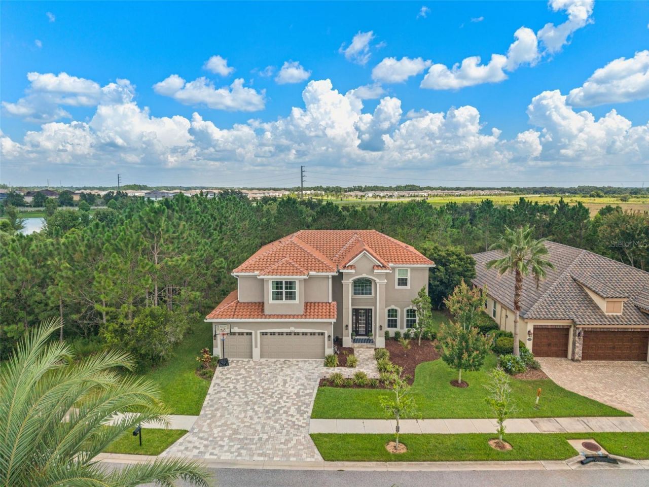 32924 Estate Garden Drive, Wesley Chapel, FL 33545 Main Photo