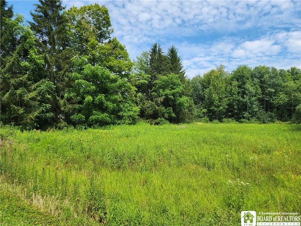 0 School Street, Findley Lake, NY 14736