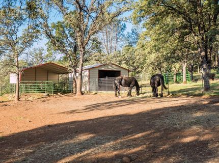 9051 Regent Way, Oregon House, CA 95962 Photo