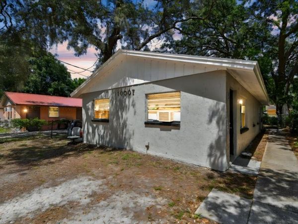 10007 N 10TH STREET, TAMPA, FL 33612