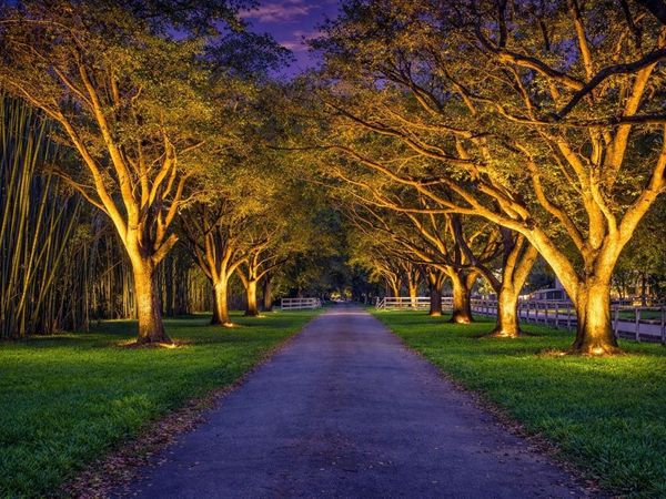 5400 HANCOCK ROAD, Southwest Ranches, FL 33330