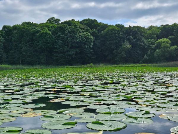 TBD Valley Lane SW, Farwell, MN 56327