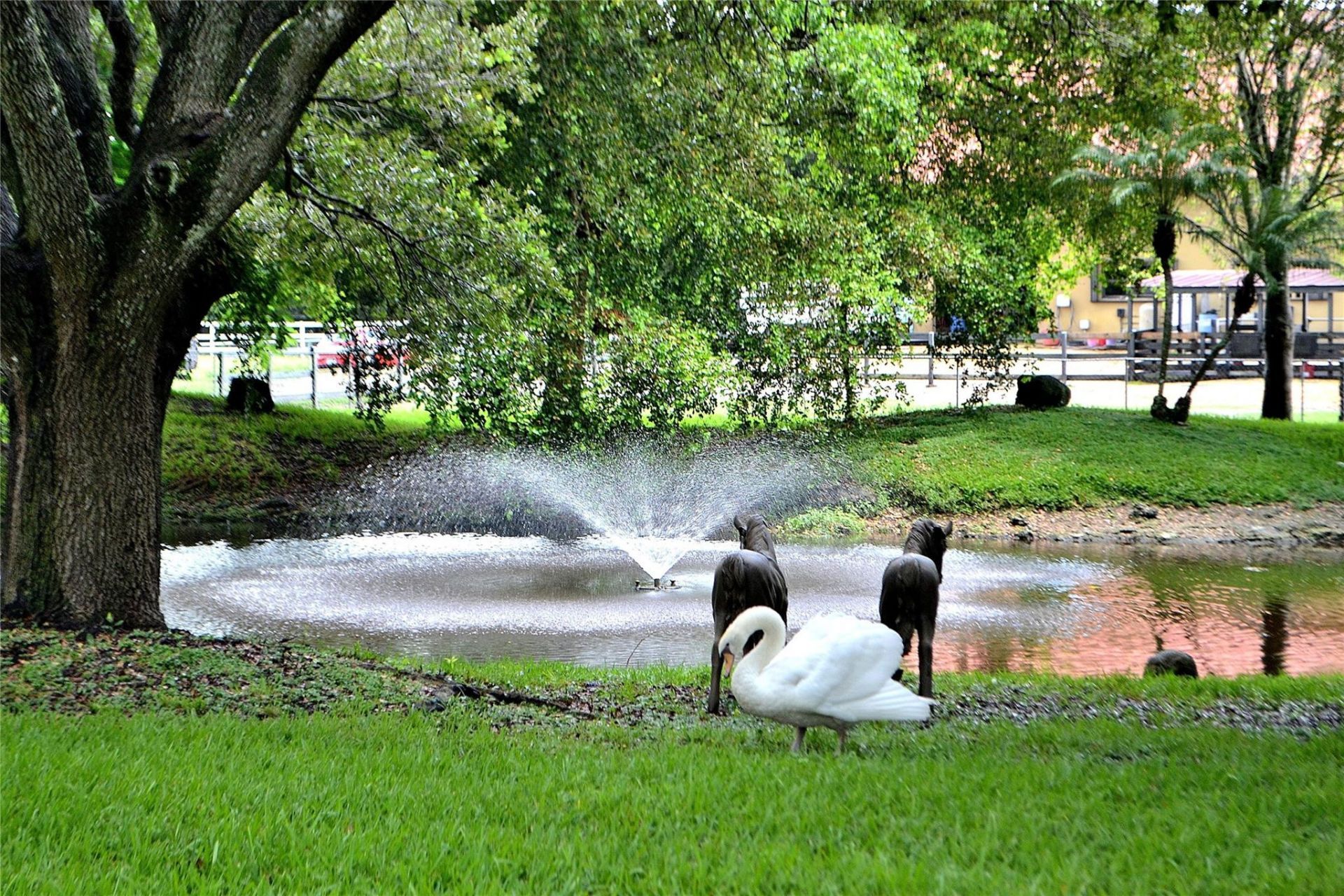 6200 SW 183rd Way, Southwest Ranches, FL 33331 Photo