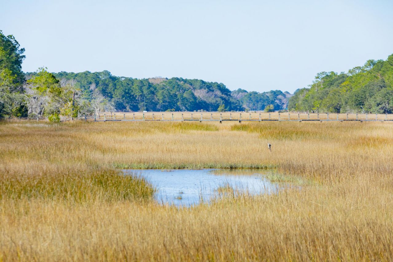 1612 Zurlo Way Photo 15