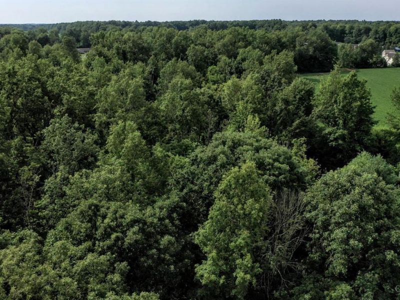 9029 Arrowcreek Drive, Washington Township, OH 45054 Photo 10