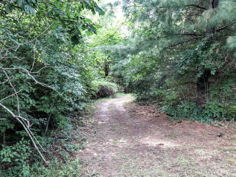 9029 Arrowcreek Drive, Washington Township, OH 45054 Photo 21