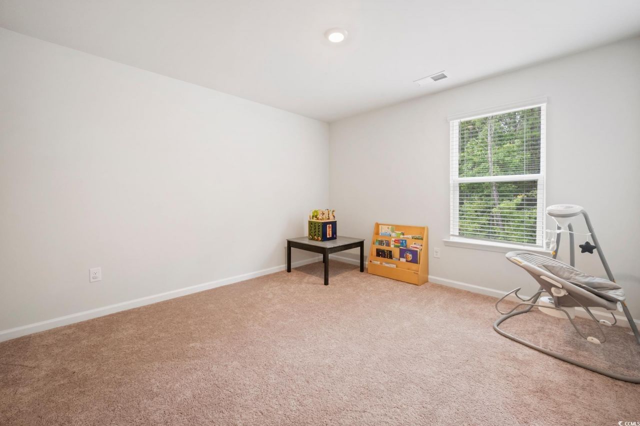 543 Meadowgrass Ct. Photo 17