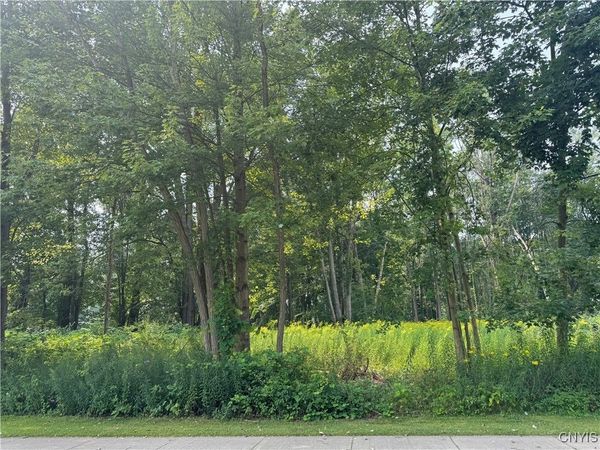 Mcclanathan Avenue, Blossvale, NY 13308