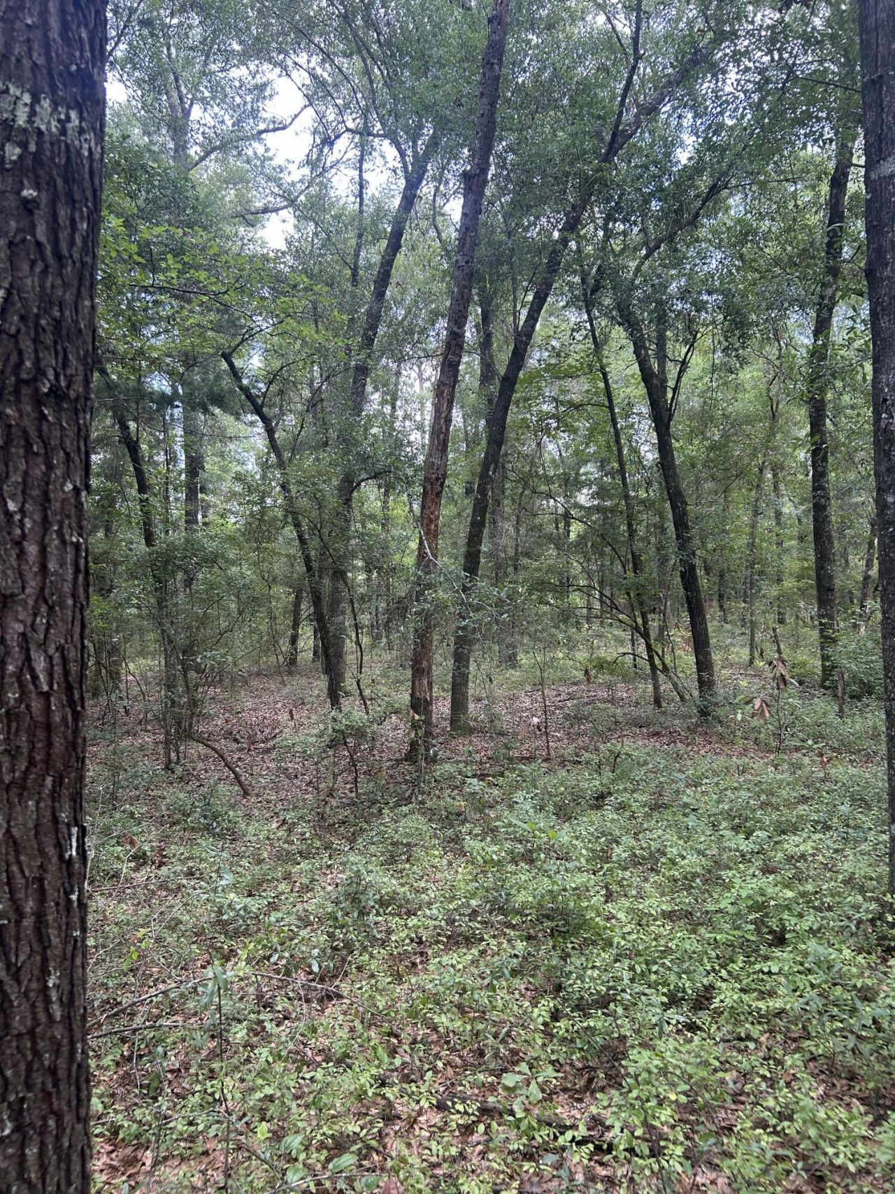 1 Boat Landing Road Photo 10