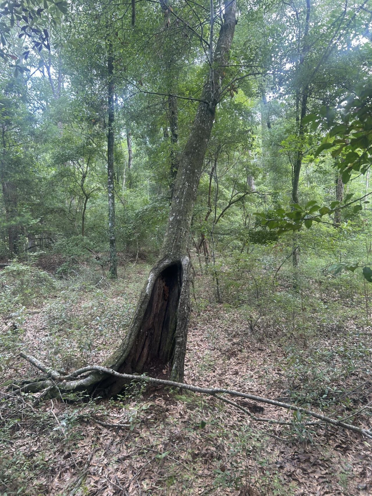 1 Boat Landing Road Photo 14