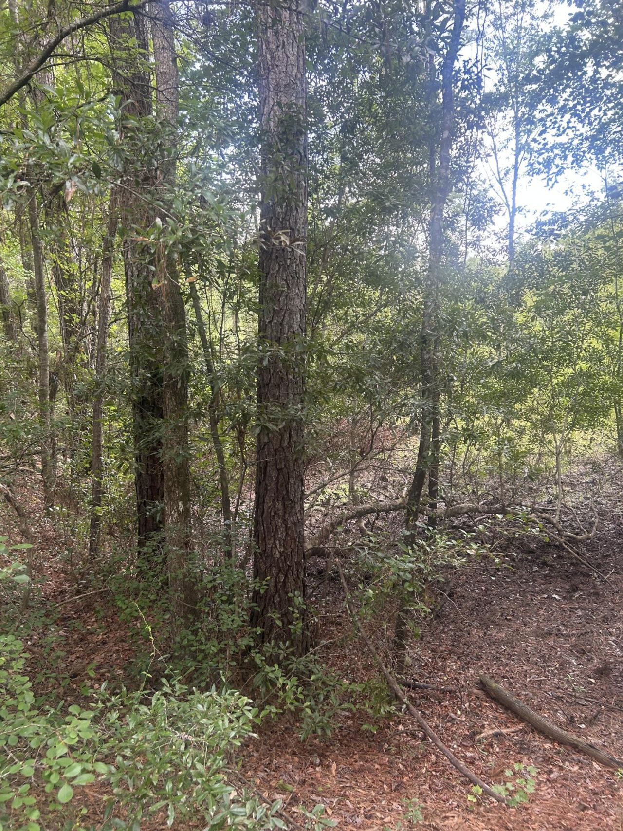 1 Boat Landing Road Photo 15