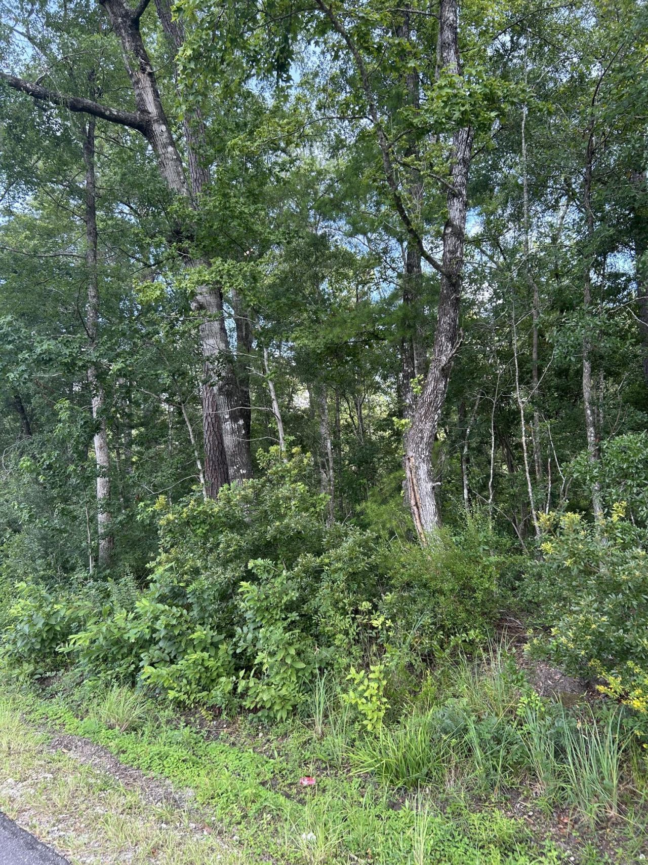 1 Boat Landing Road Photo 2