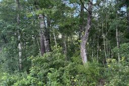 1 Boat Landing Road photo 4