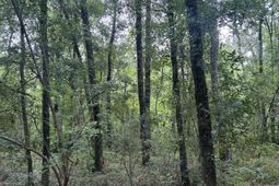 1 Boat Landing Road photo 4