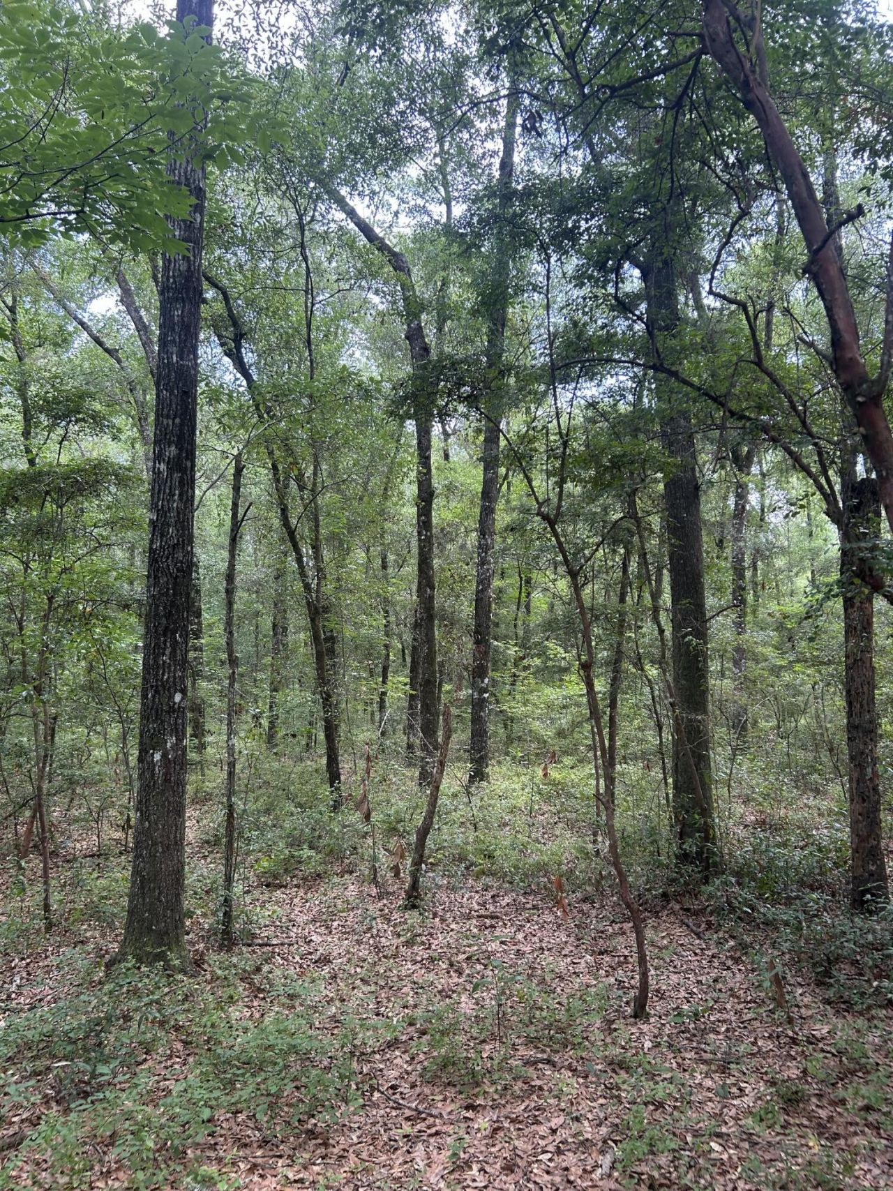 1 Boat Landing Road Photo 6