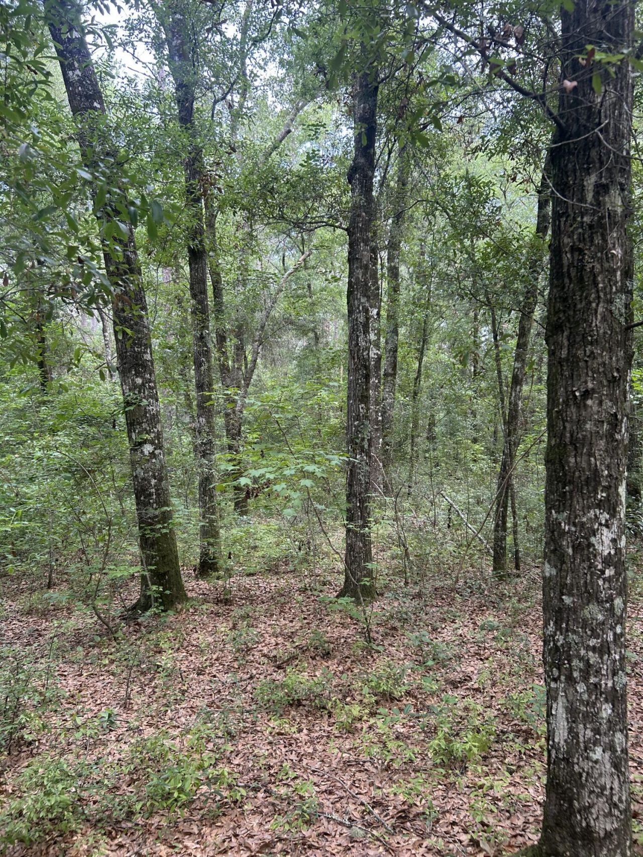 1 Boat Landing Road Photo 9