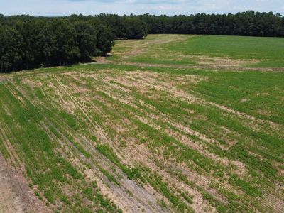 0 Black River Road, New Zion, SC 29111