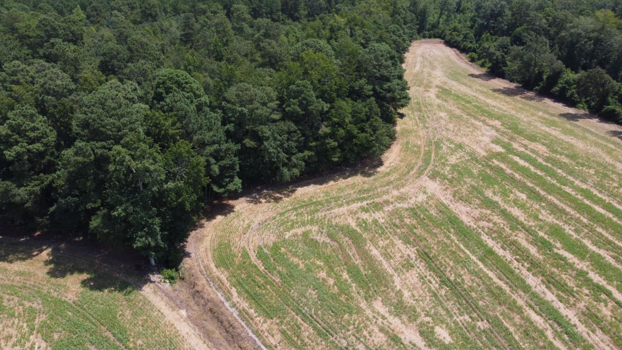 0 Black River Road Photo 10