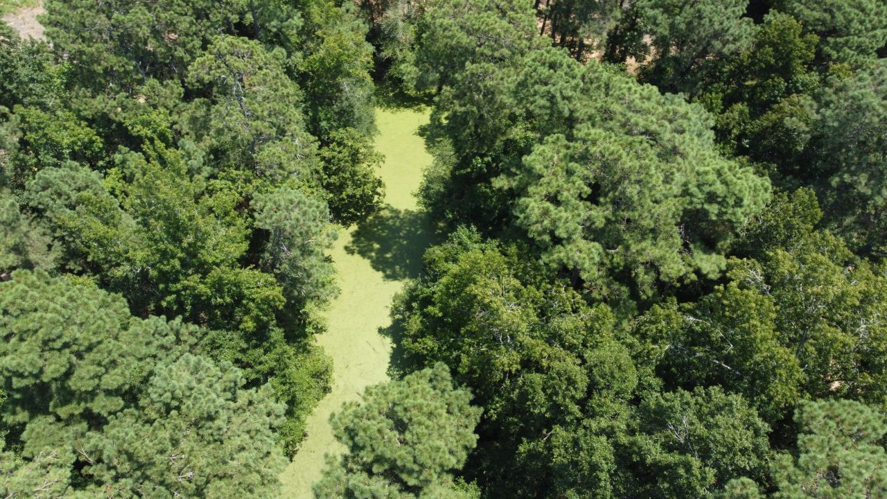 0 Black River Road Photo 12