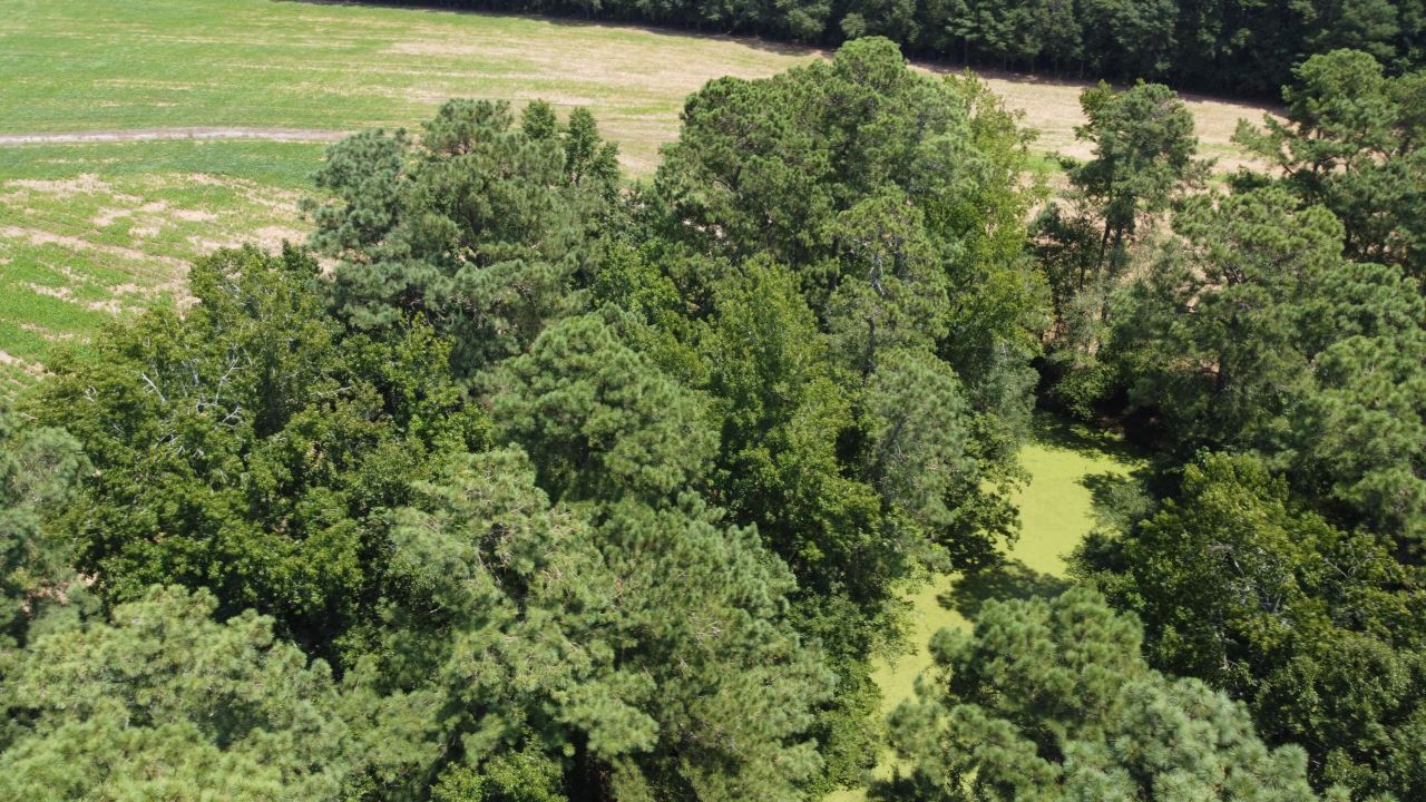 0 Black River Road Photo 13