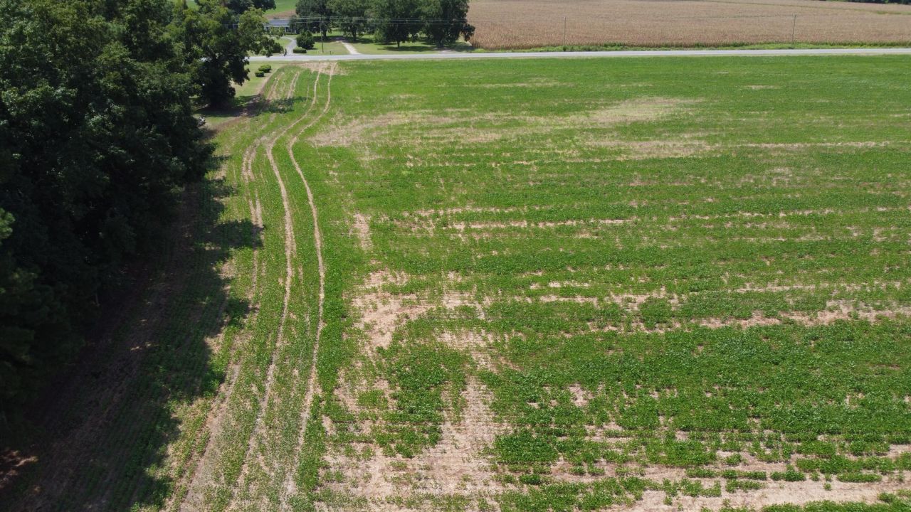 0 Black River Road Photo 16